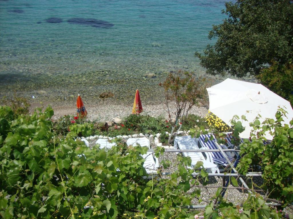 Hotel Mavi Akvaryum Pension Sogut  Exteriér fotografie