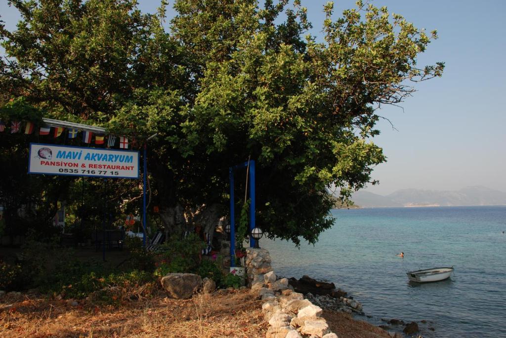 Hotel Mavi Akvaryum Pension Sogut  Exteriér fotografie