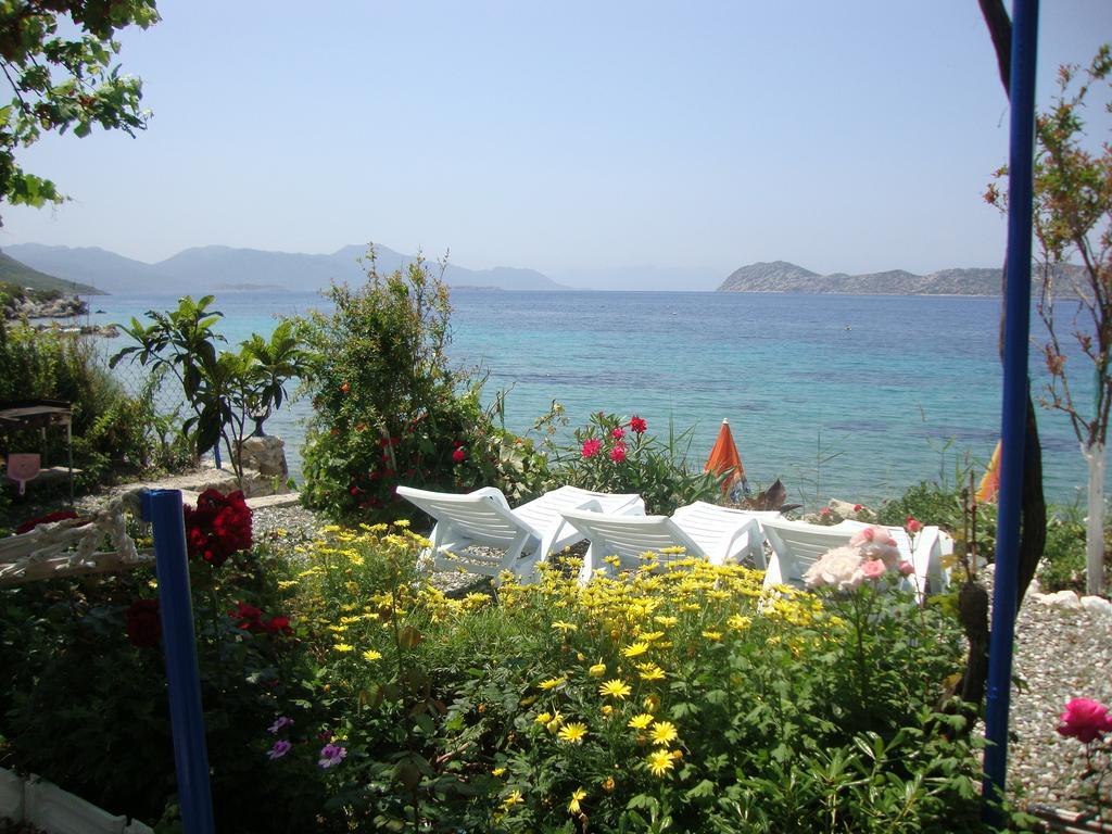 Hotel Mavi Akvaryum Pension Sogut  Exteriér fotografie